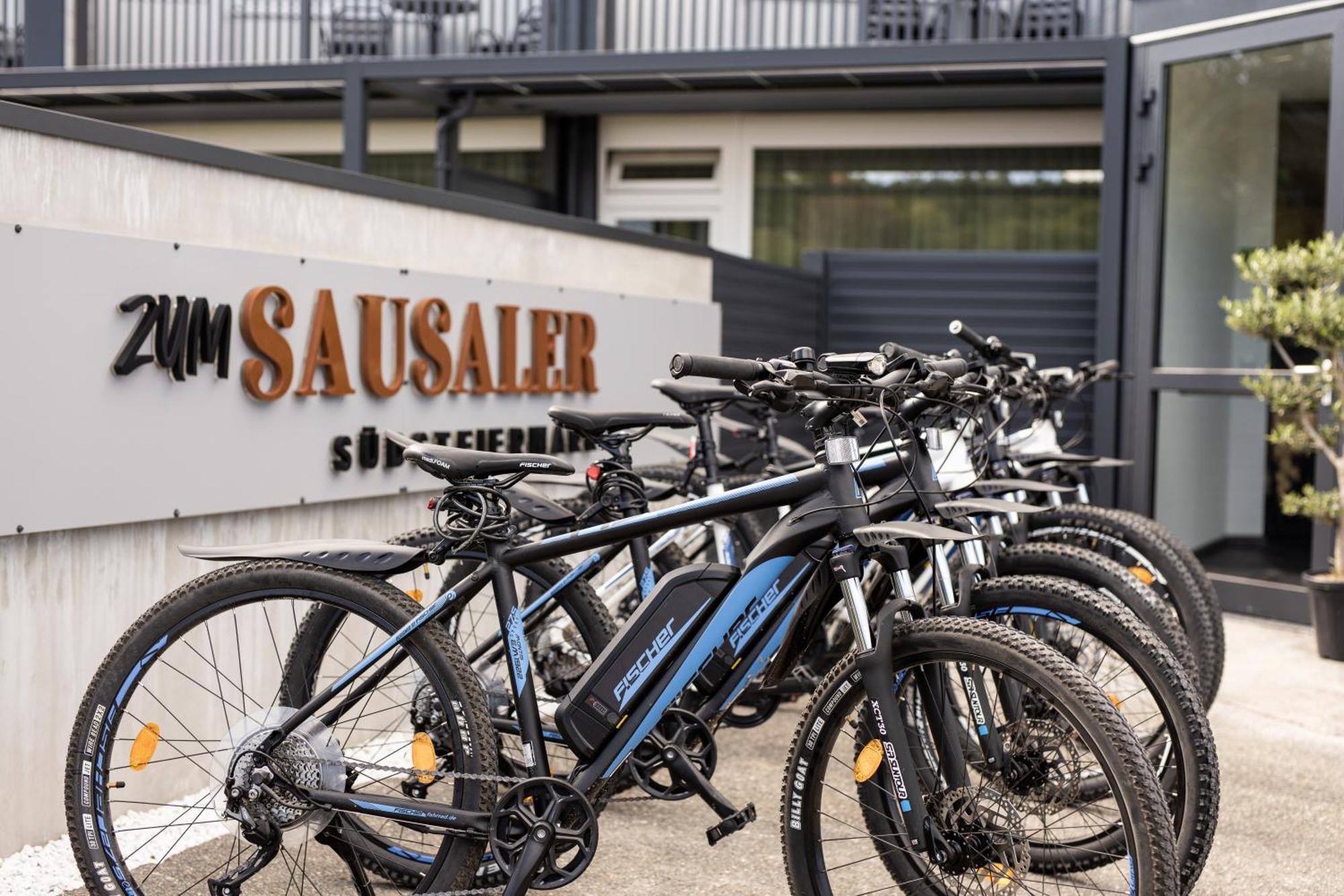 Zum Sausaler - Boutique Hotel-Pension Suedsteiermark Sankt Nikolai im Sausal Dış mekan fotoğraf